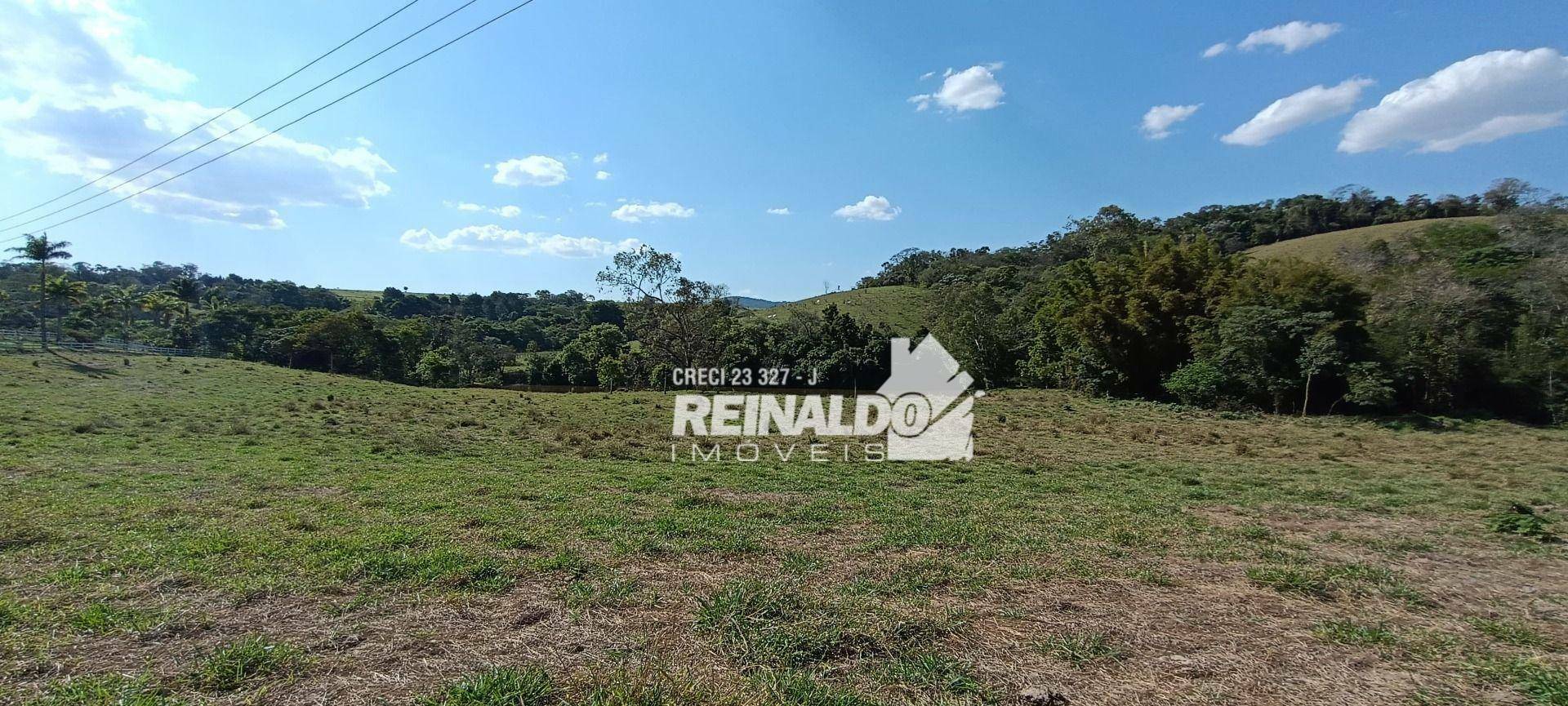 Haras e Área Rural Padrão à venda com 16 quartos, 2500m² - Foto 198