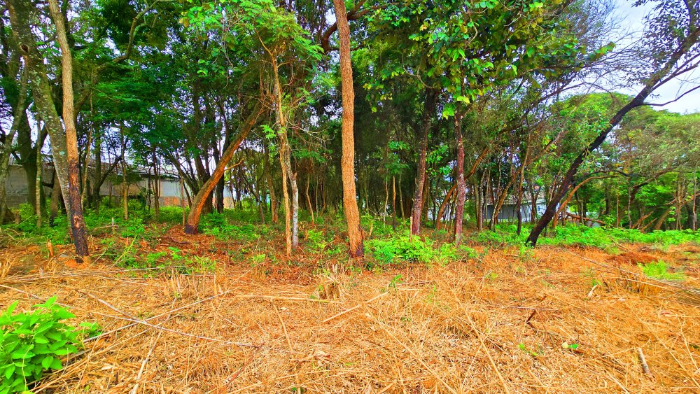 Terreno à venda, 2855m² - Foto 15
