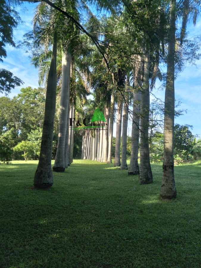 Chácara à venda com 3 quartos, 20596m² - Foto 21
