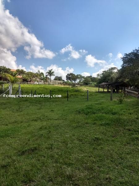 Fazenda à venda com 3 quartos, 10000m² - Foto 12