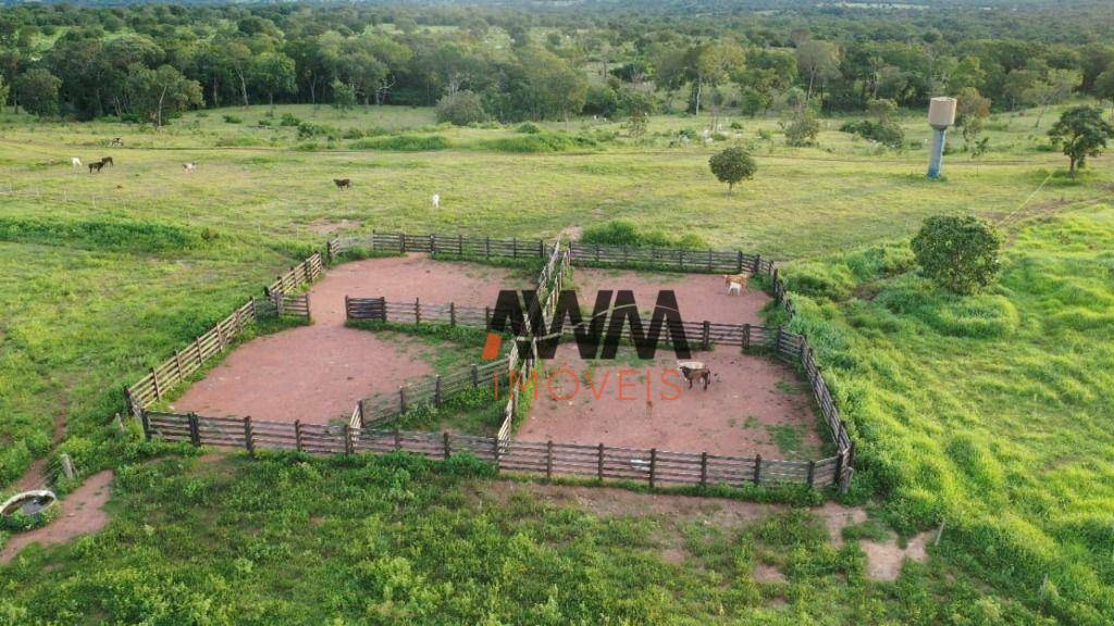 Fazenda à venda, 2420000M2 - Foto 14