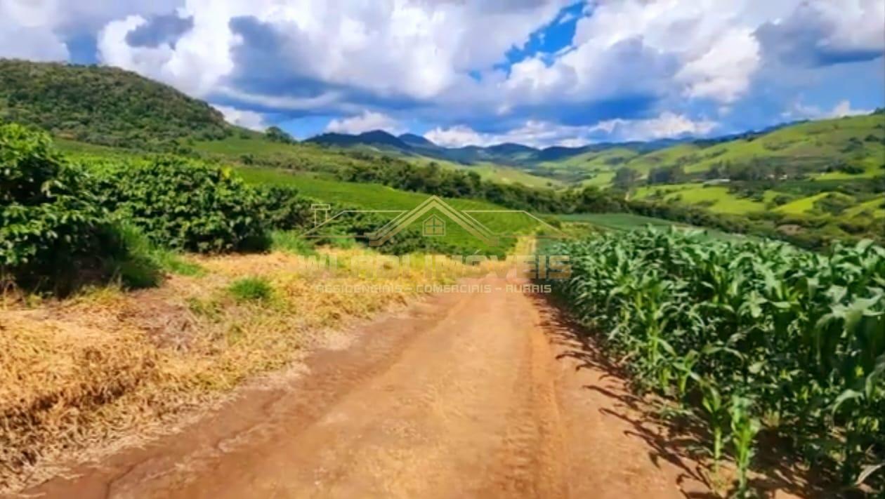 Fazenda à venda com 7 quartos, 196m² - Foto 2