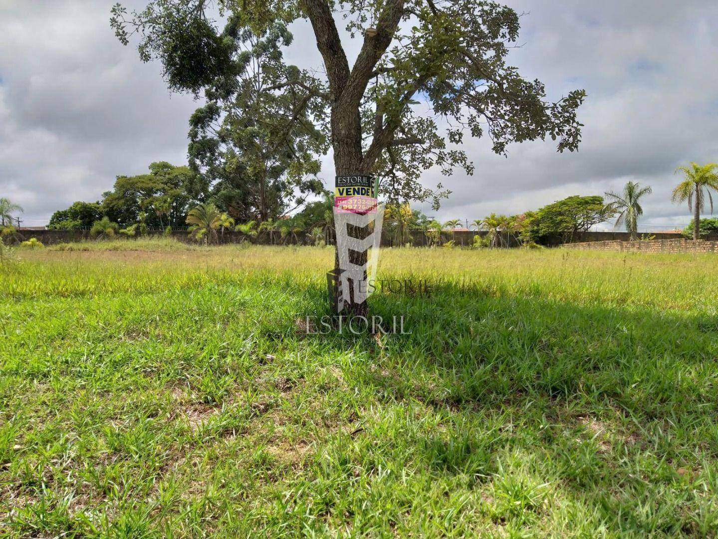 Terreno à venda - Foto 1