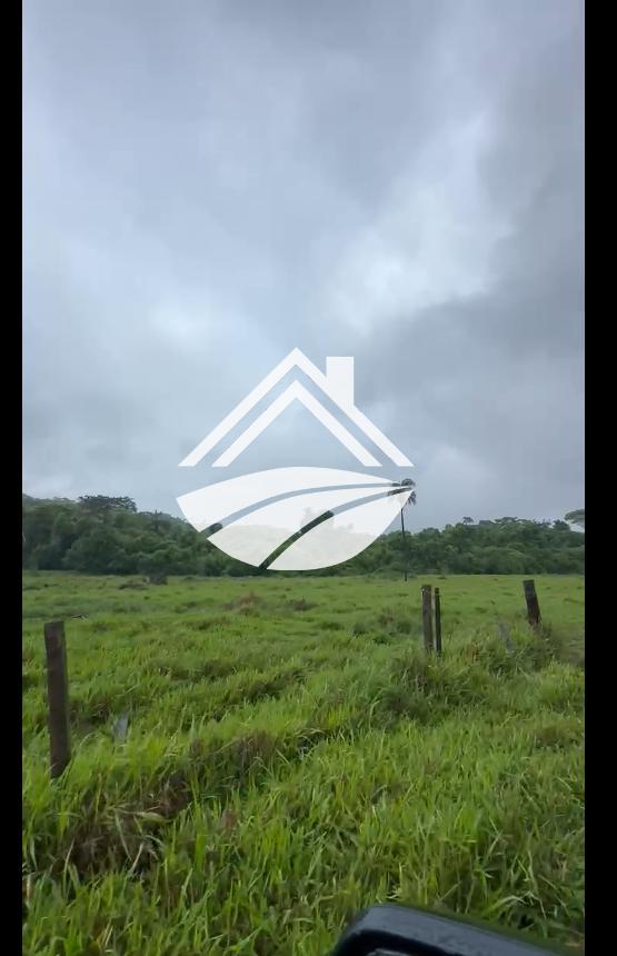 Fazenda à venda, 1m² - Foto 13