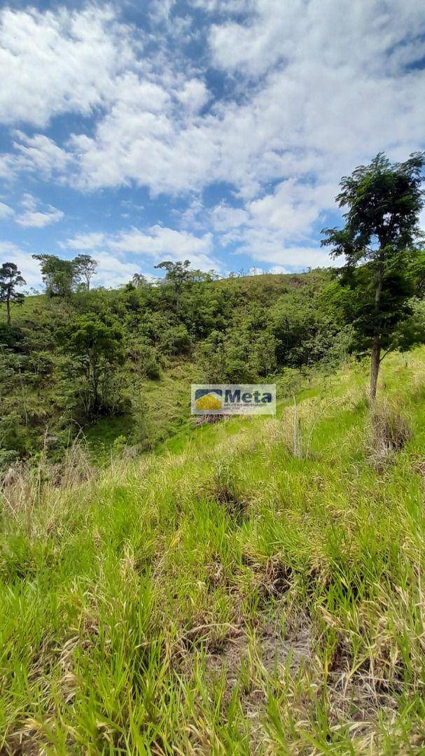 Sítio, 8 hectares - Foto 4