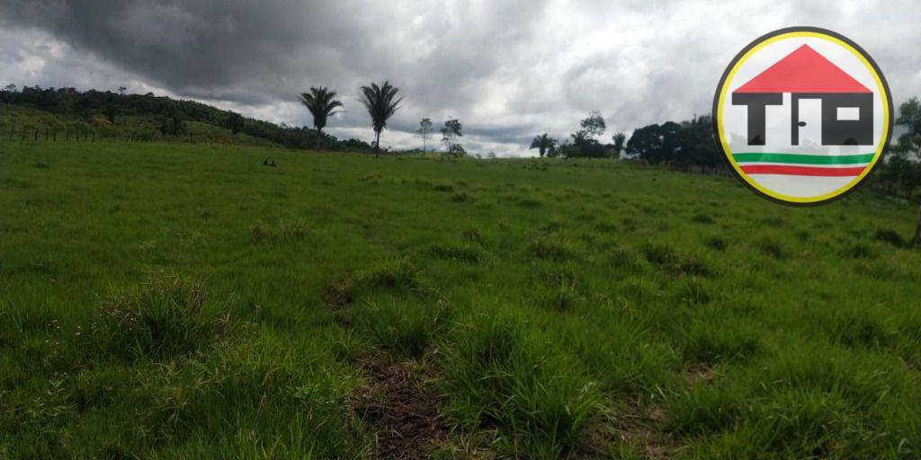 Fazenda, 145 hectares - Foto 14