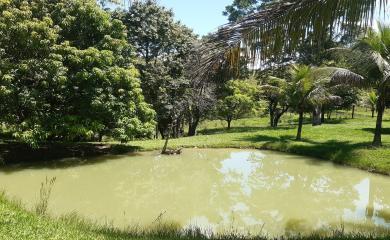 Fazenda à venda com 2 quartos, 145000m² - Foto 9