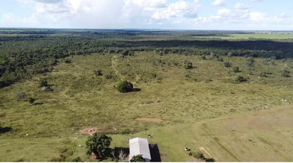 Fazenda, 8147 hectares - Foto 3