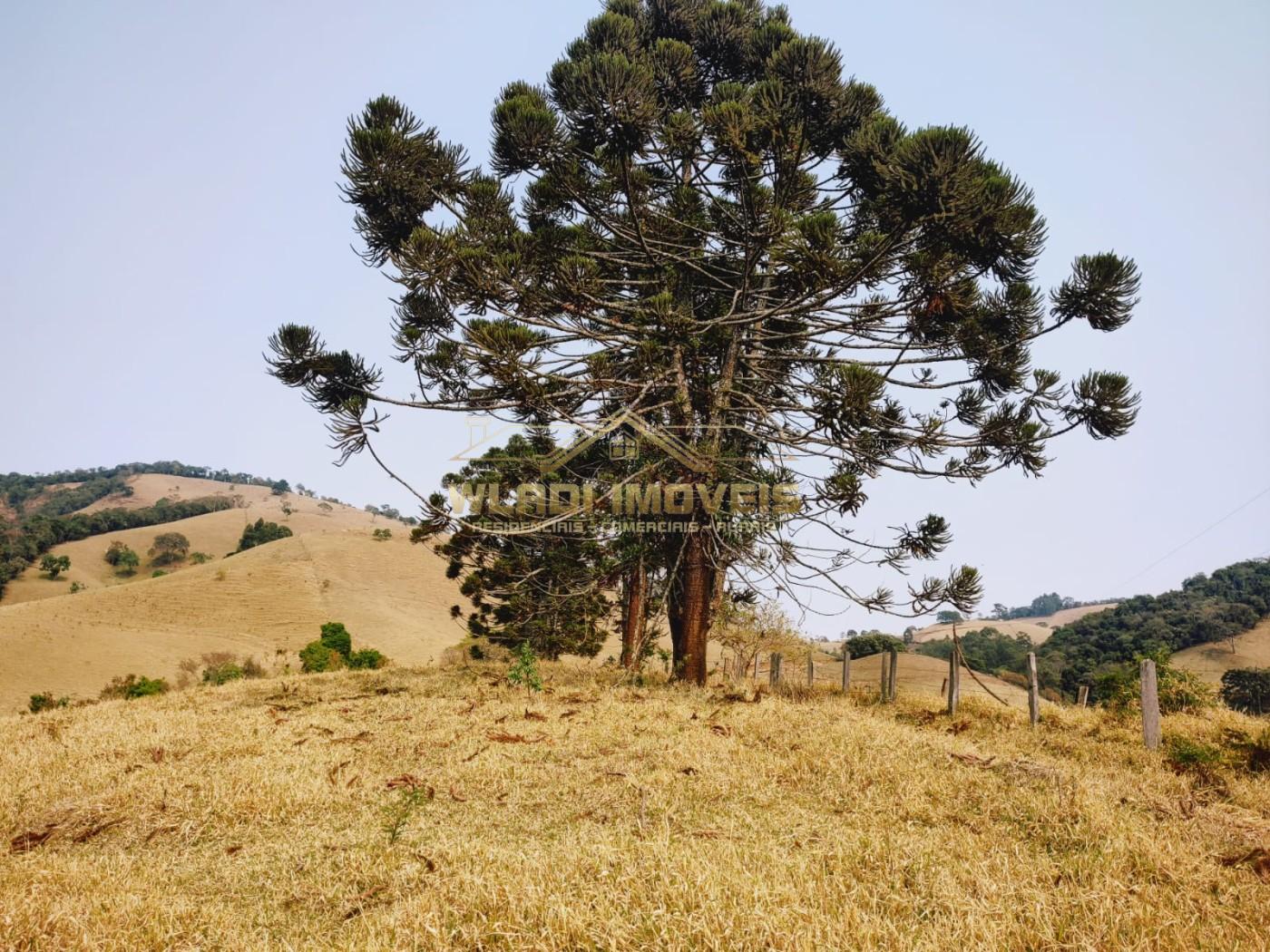 Terreno à venda, 20000m² - Foto 9