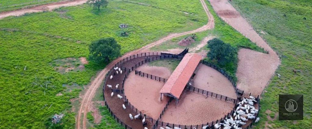 Fazenda-Sítio-Chácara, 4772 hectares - Foto 1