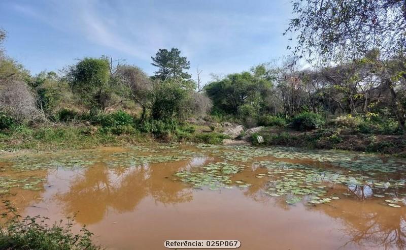 Fazenda à venda com 2 quartos, 100000m² - Foto 9