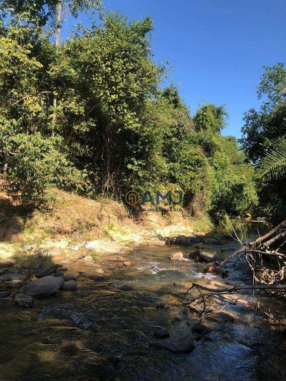 Fazenda-Sítio-Chácara, 23 hectares - Foto 4