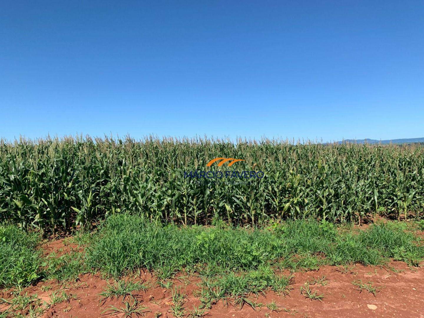 Fazenda à venda, 2565200M2 - Foto 1