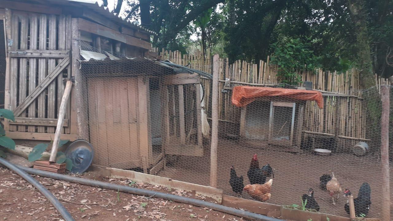 Chácara à venda com 2 quartos, 100m² - Foto 19