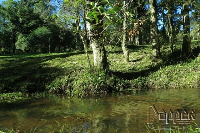 Terreno à venda - Foto 5