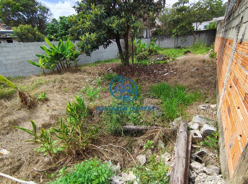 Terreno à venda, 225m² - Foto 4