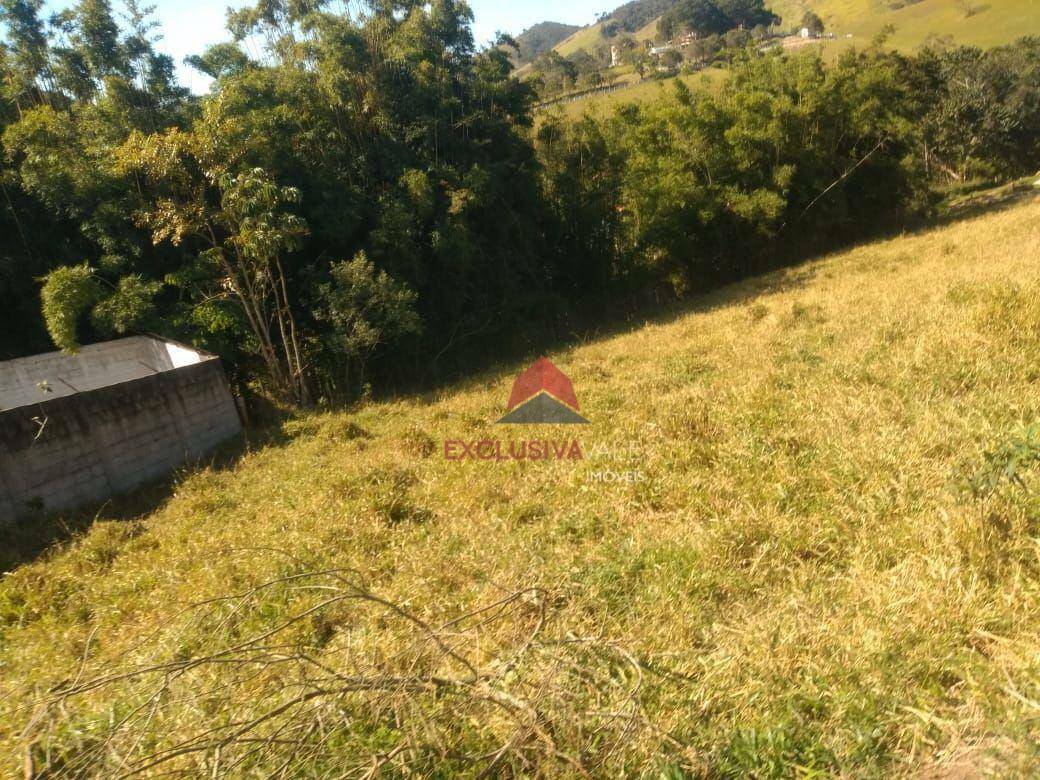 Chácara à venda com 1 quarto, 50m² - Foto 4
