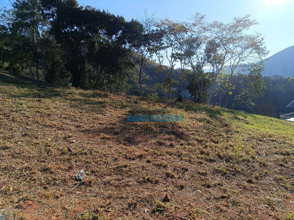 Loteamento e Condomínio à venda, 516M2 - Foto 3