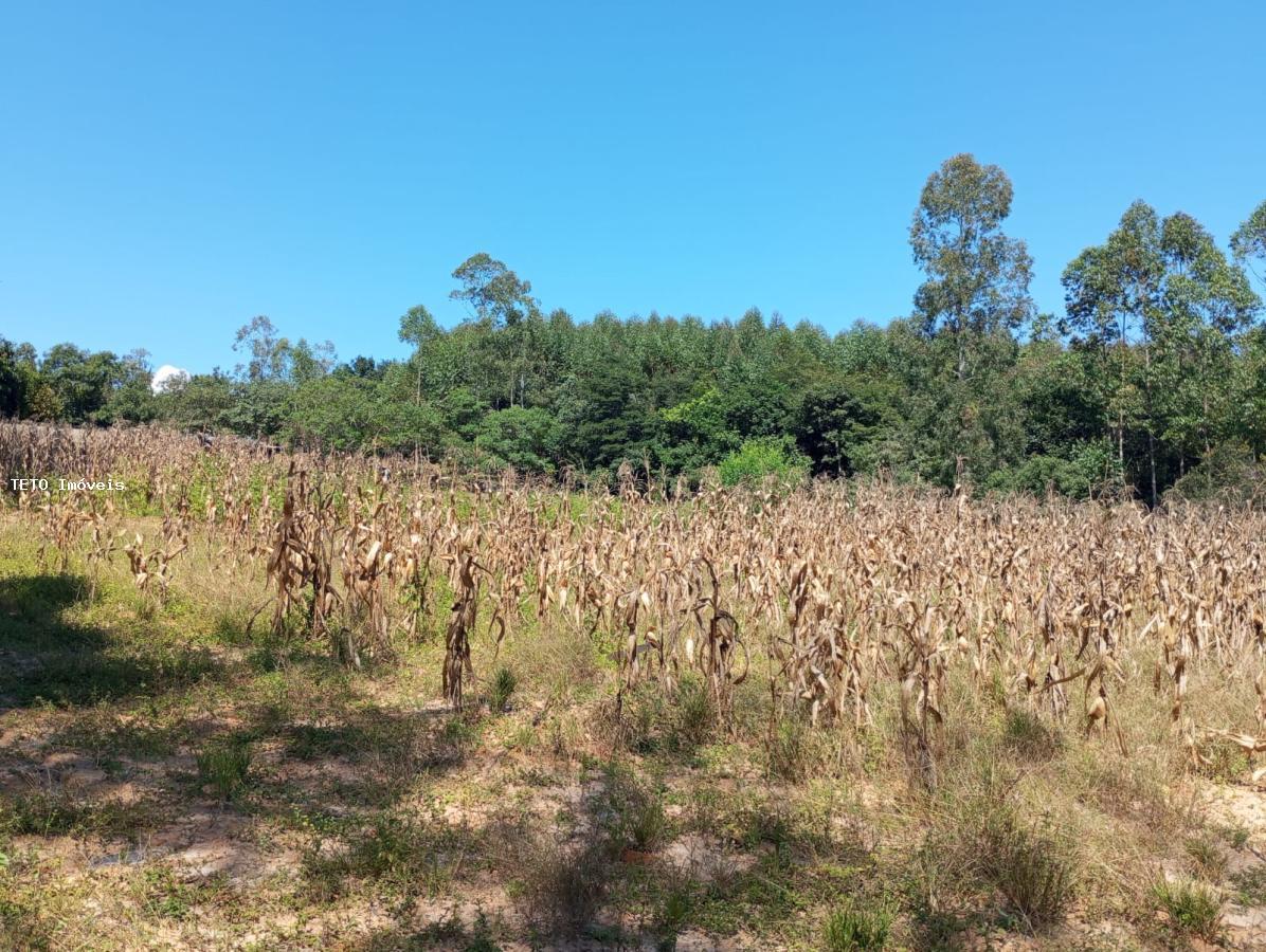 Fazenda à venda, 2m² - Foto 22