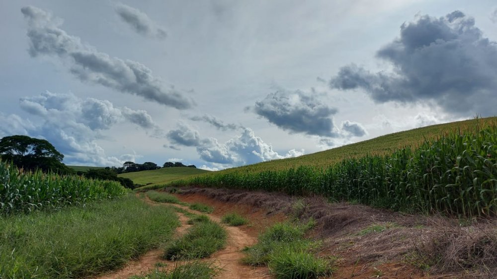 Fazenda à venda, 178m² - Foto 7