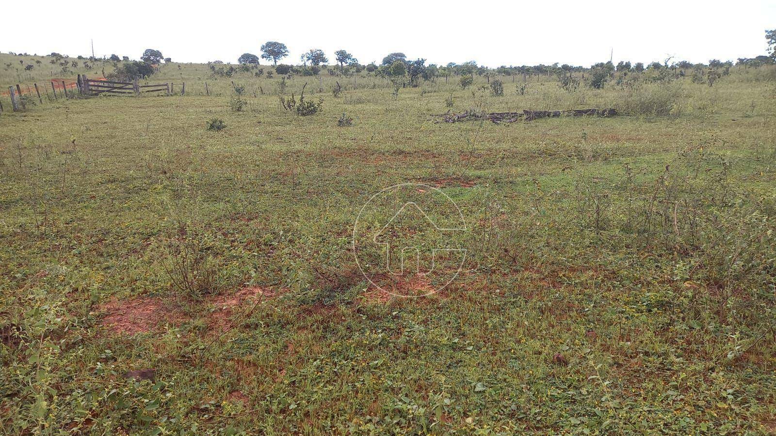 Fazenda à venda, 32000000M2 - Foto 8