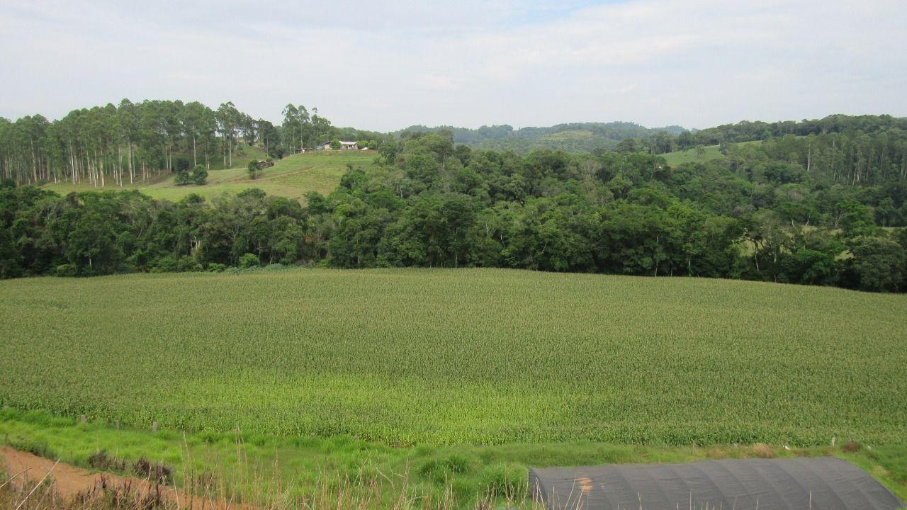 Loteamento e Condomínio à venda, 180000m² - Foto 15