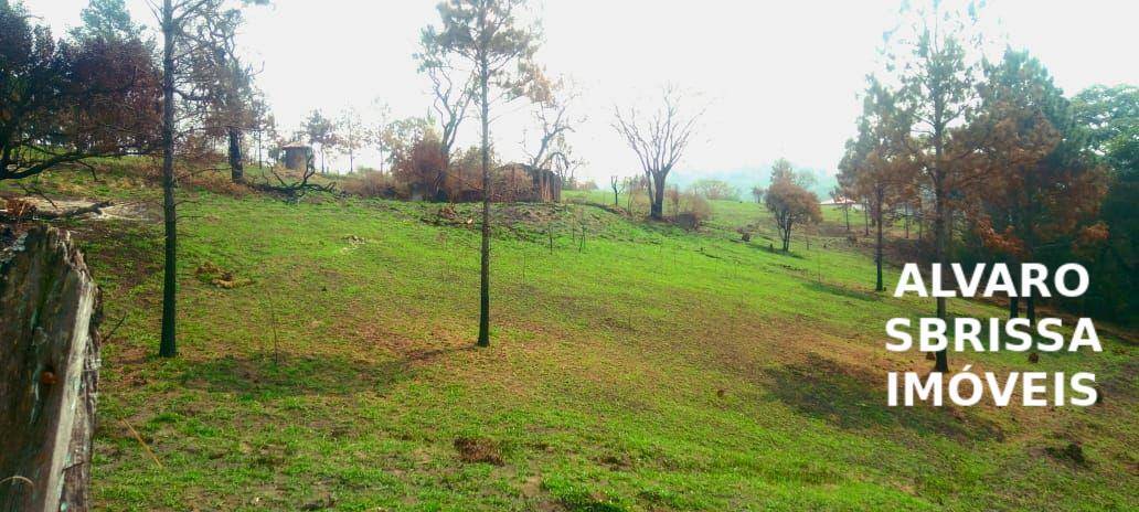 Sítio, 1 quarto, 14 hectares - Foto 11