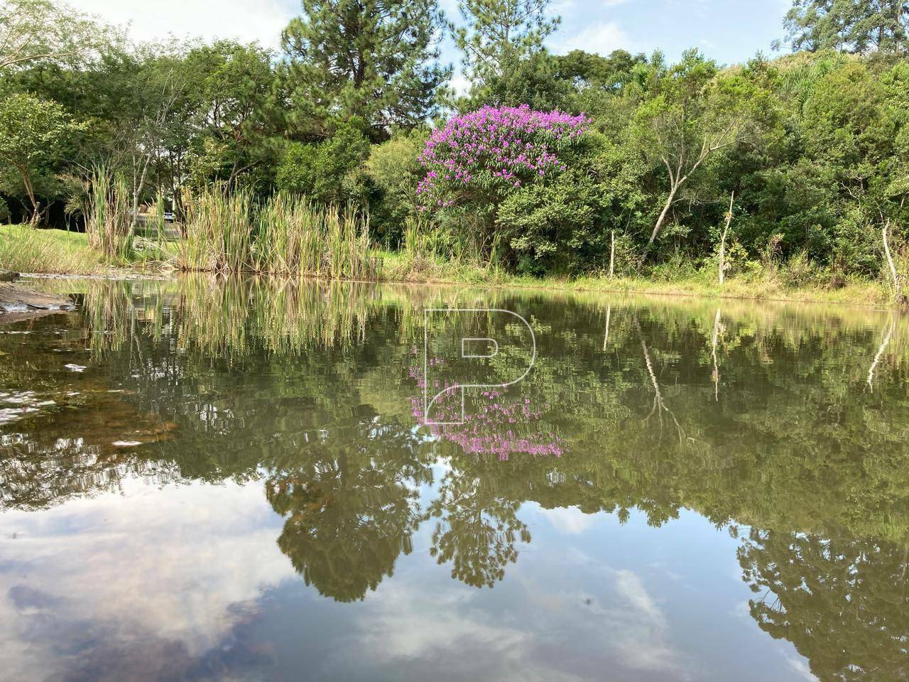 Loteamento e Condomínio à venda, 1000M2 - Foto 14