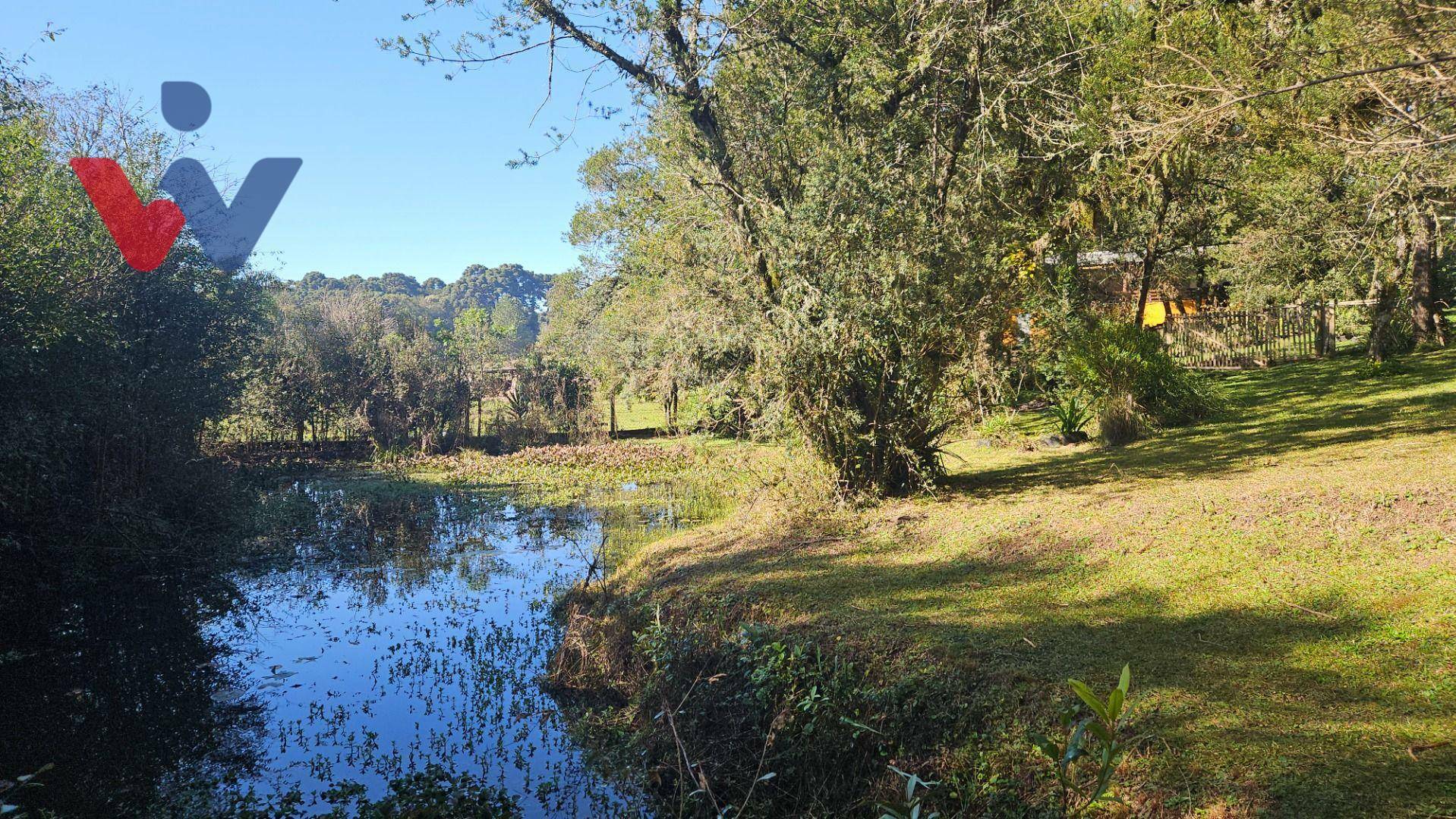 Chácara à venda com 4 quartos, 3700M2 - Foto 36