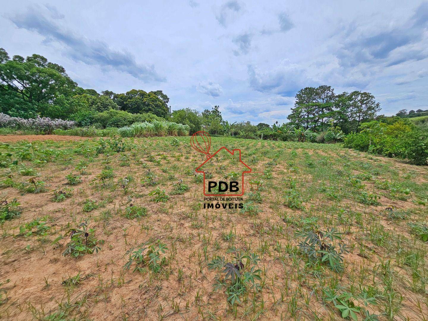 Sítio, 6 quartos, 2 hectares - Foto 1