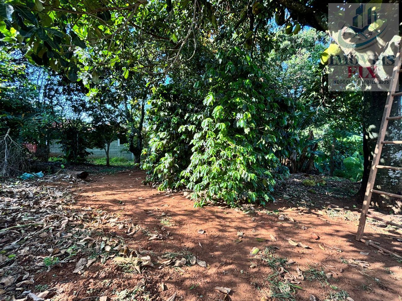 Fazenda à venda com 2 quartos, 220m² - Foto 37