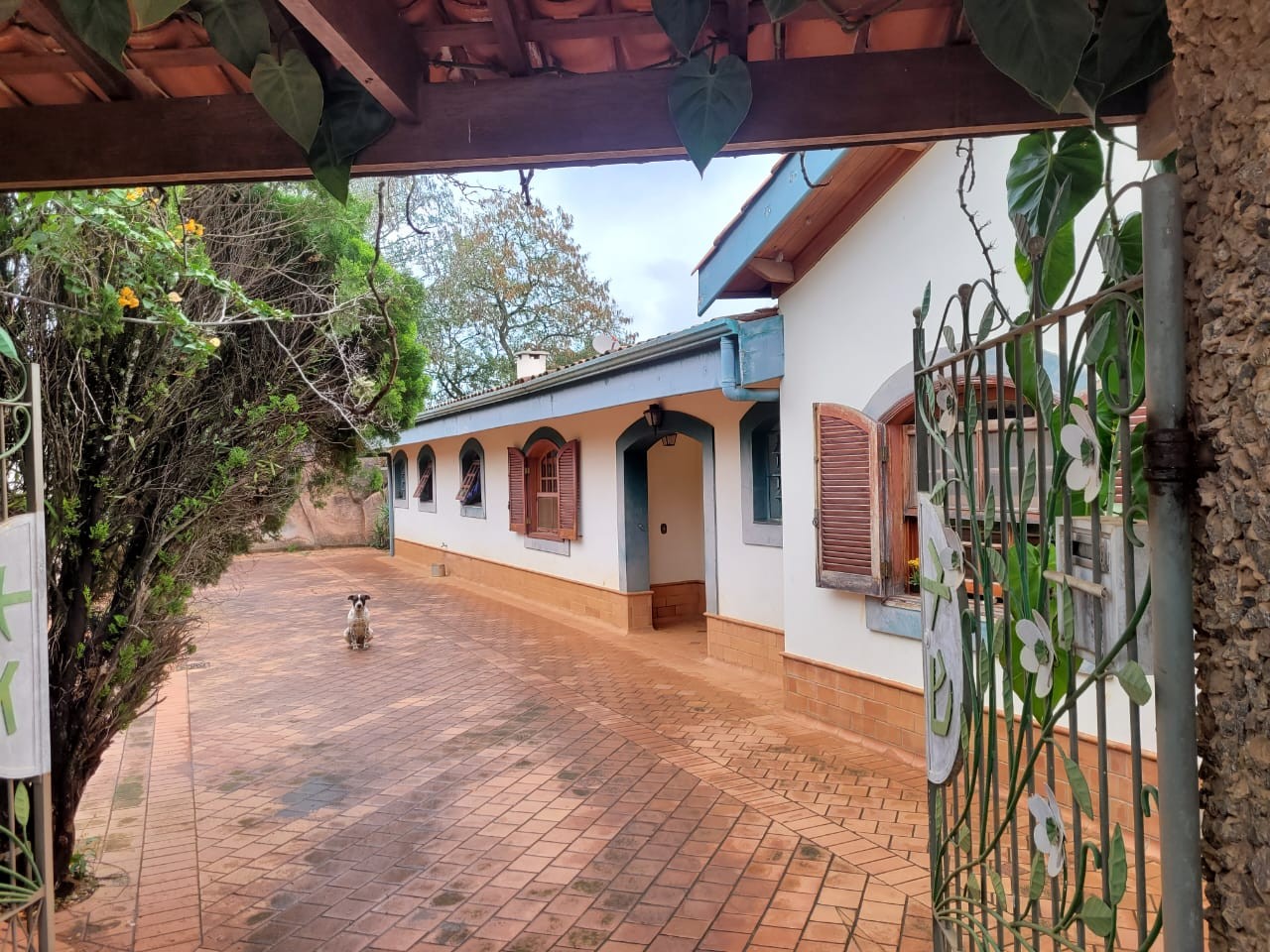 Casa à venda com 4 quartos, 2000m² - Foto 41