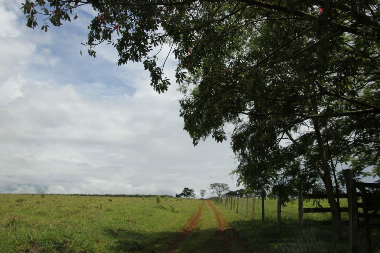 Loteamento e Condomínio à venda com 2 quartos, 90145m² - Foto 23