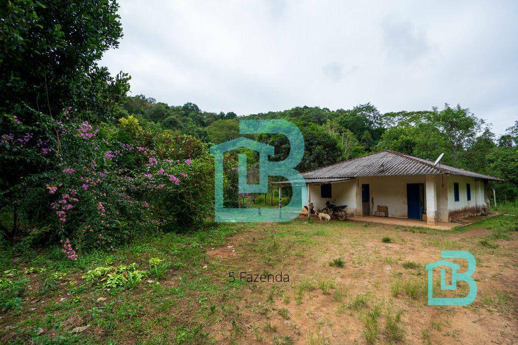 Fazenda, 1415 hectares - Foto 4