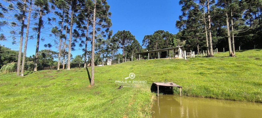 Fazenda à venda com 2 quartos, 13700m² - Foto 2