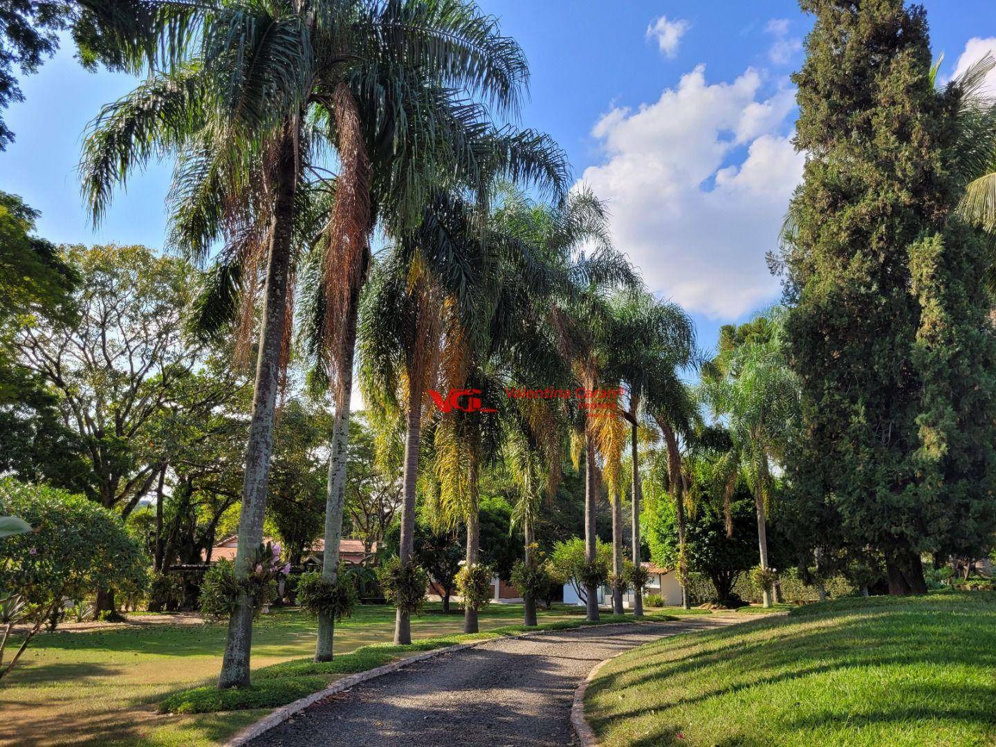 Chácara à venda com 3 quartos, 600m² - Foto 5