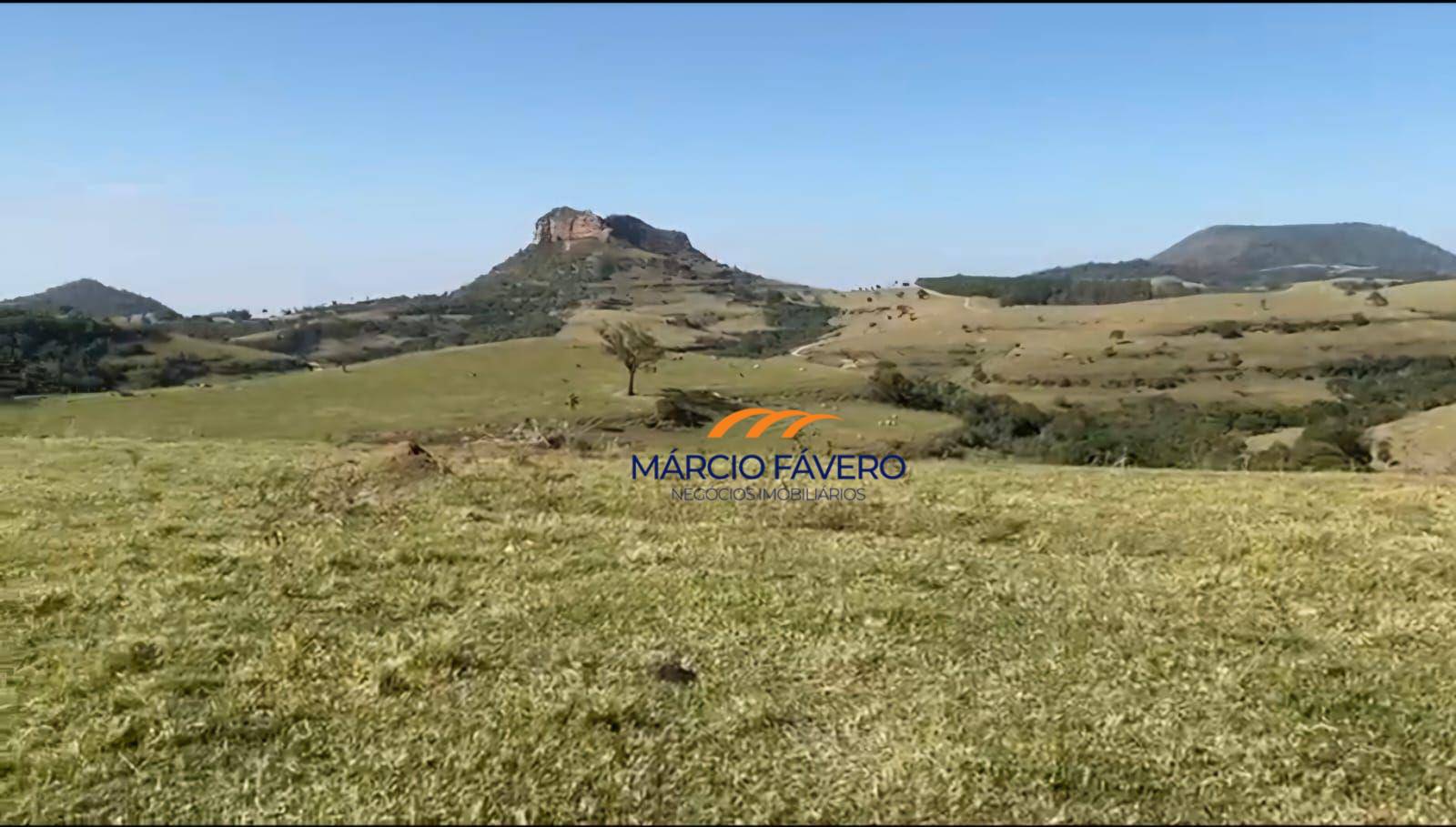 Fazenda, 111 hectares - Foto 8