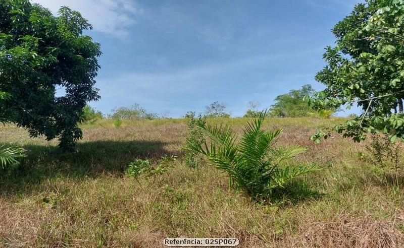 Fazenda à venda com 2 quartos, 100000m² - Foto 13