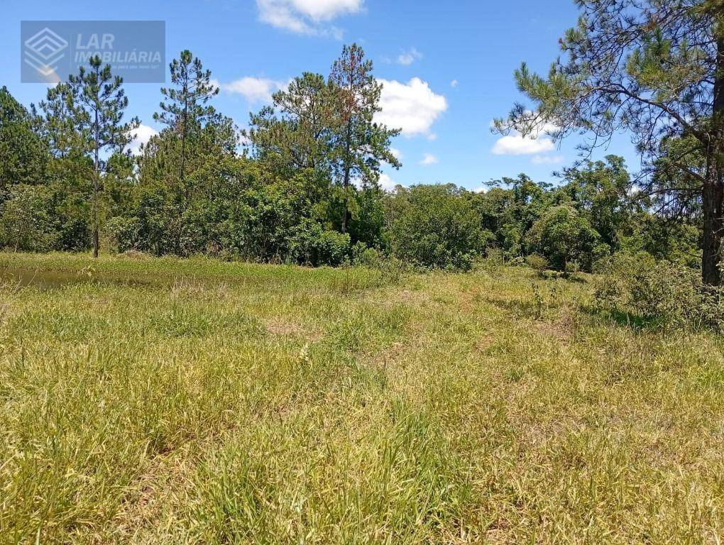 Terreno, 4 hectares - Foto 21