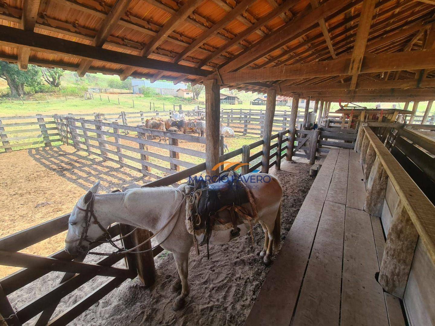 Fazenda à venda, 2299000M2 - Foto 9