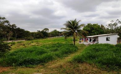 Sítio à venda com 3 quartos, 10000m² - Foto 8