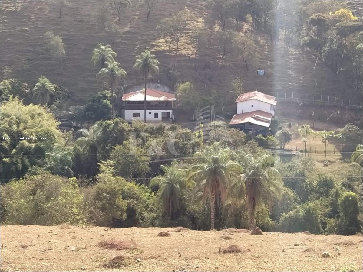 Fazenda à venda com 6 quartos, 53000m² - Foto 8