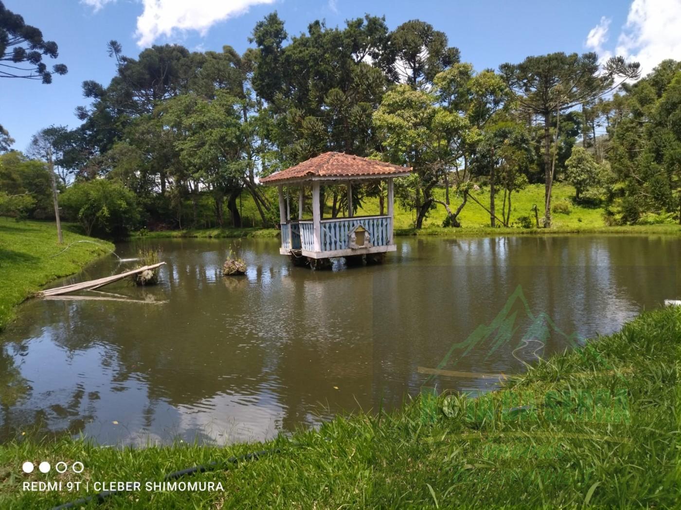 Terreno, 24 hectares - Foto 1