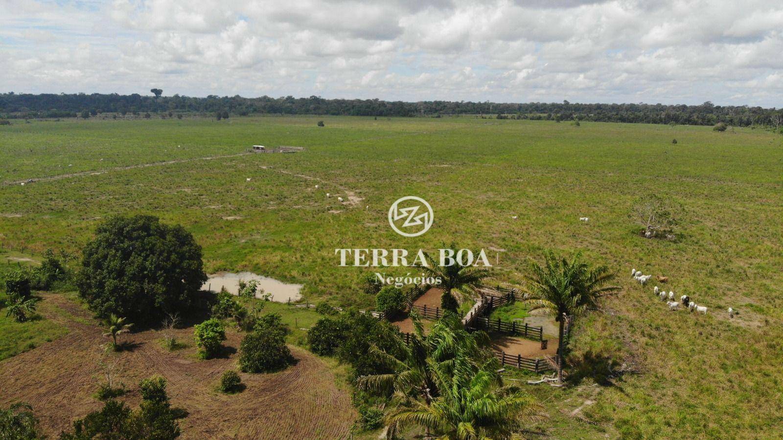 Fazenda-Sítio-Chácara, 150 hectares - Foto 4