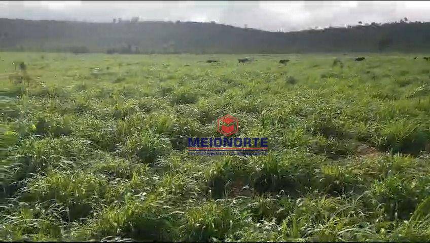 Fazenda-Sítio-Chácara, 10000 m² - Foto 4