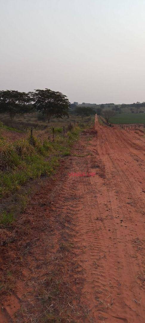 Sítio, 18 hectares - Foto 4