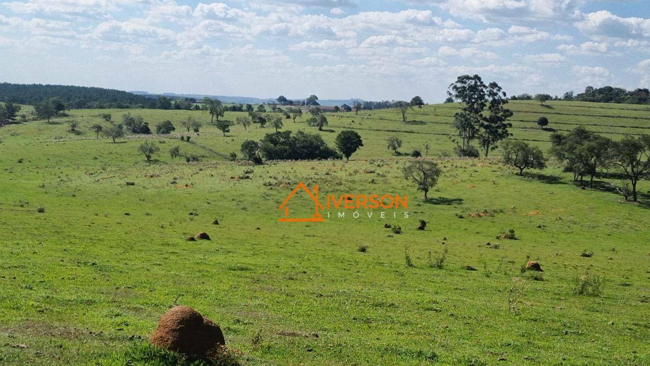 Fazenda à venda com 6 quartos, 1000m² - Foto 10