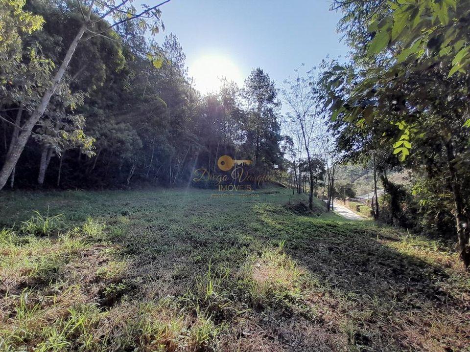 Fazenda à venda com 4 quartos, 29000m² - Foto 58