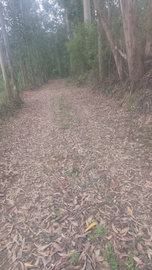 Terreno, 625 m² - Foto 5