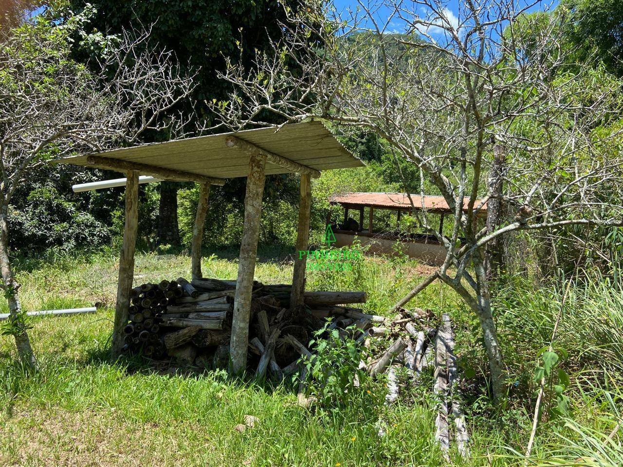 Fazenda à venda com 10 quartos, 1500m² - Foto 4